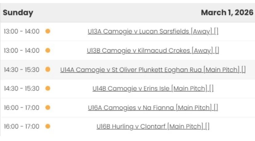 Faughs GAA Club tweet media