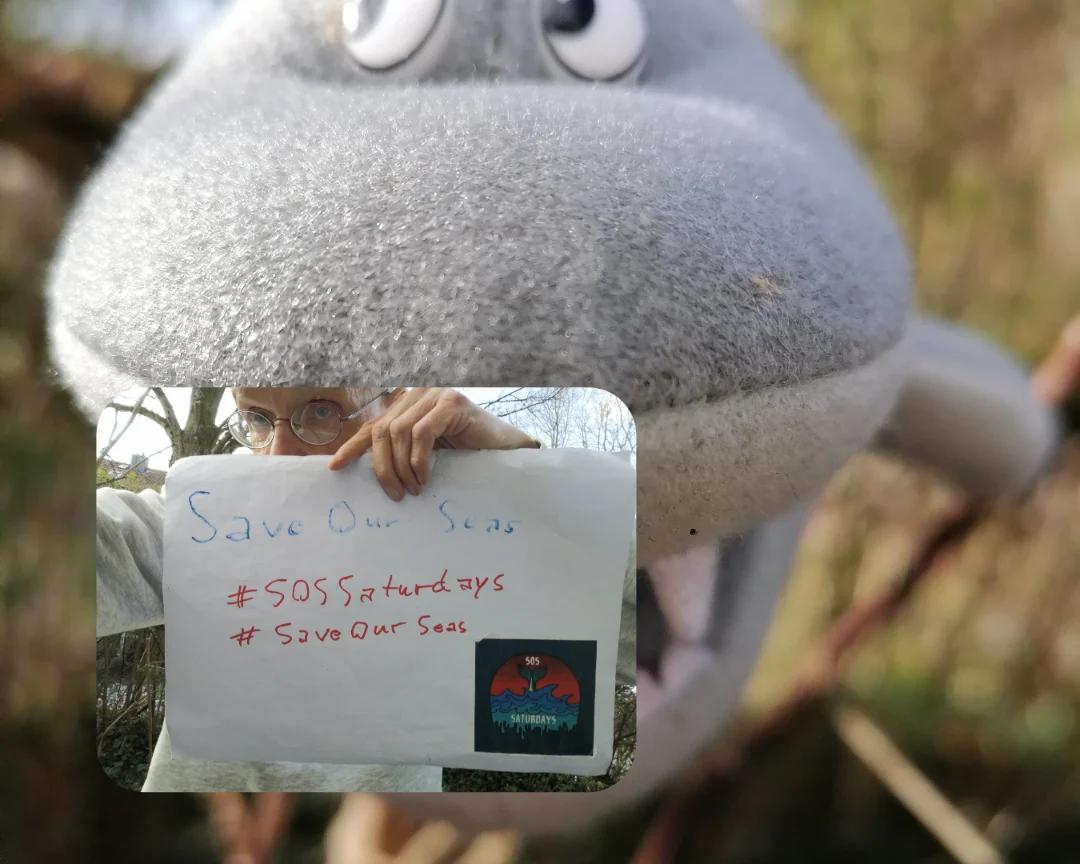 endelstamberg's tweet photo. #SosSaturdays 🐳 Week 301
"Fish levels fall by 7.2% with as little as 0.1C of warming per decade, northern hemisphere research shows"*
#SaveOurSeas 🐬
@SosSaturdays
@WorldOceansDay
@Greenpeace https://t.co/xoFayl7tYo
