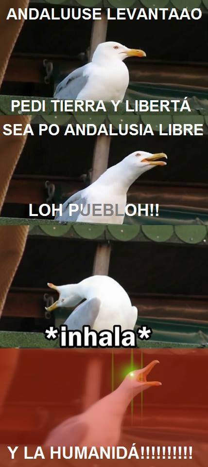 Feliz día de Andalucía, miarmas 💚🤍💚