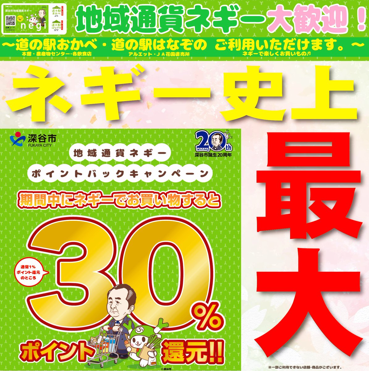 【タイムセールレア】PECO 総合カタログ (英文) Nゲージポイント現寸大型紙 ネギー史上最大⁉️ ＼ポイントバックキャンペーン🎉／ ＝道の駅史上