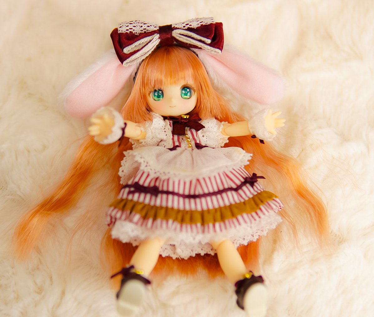 ビスケちゃん、うちに来てくれてありがとう😄 ＃シュガーカップス