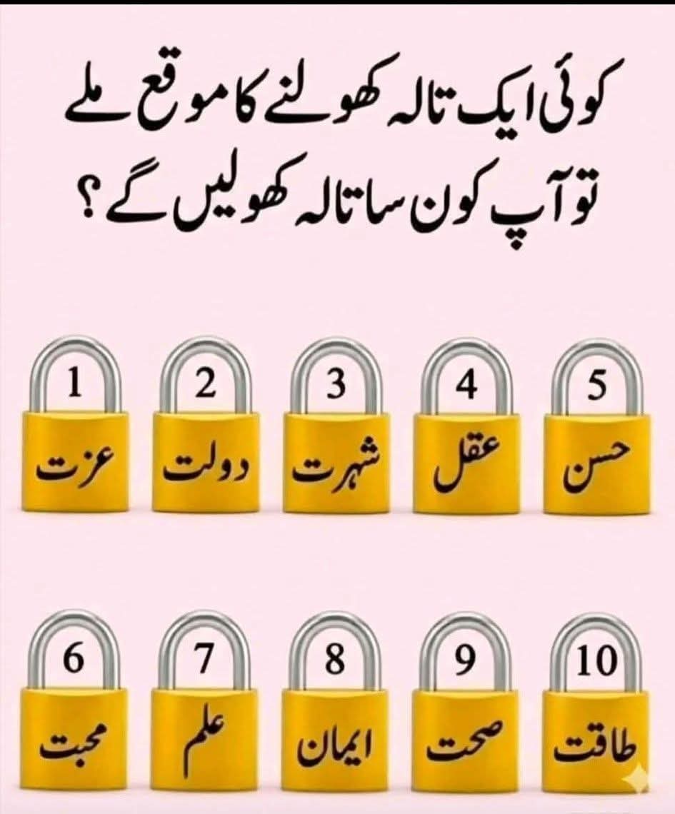 Hania Batool tweet media