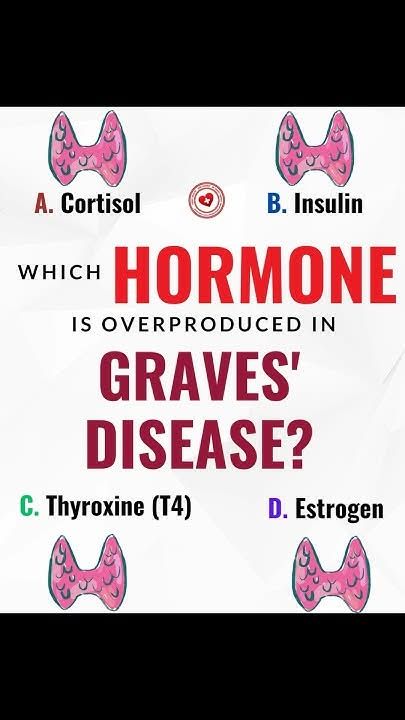 AllScientifical's tweet image. 🦋 Which hormone is overproduced in Graves’ disease? #hormones #gravesdisease #thyroidhealth #thyroid ... Continue to: youtube.com/watch?v=sE4Hf0…