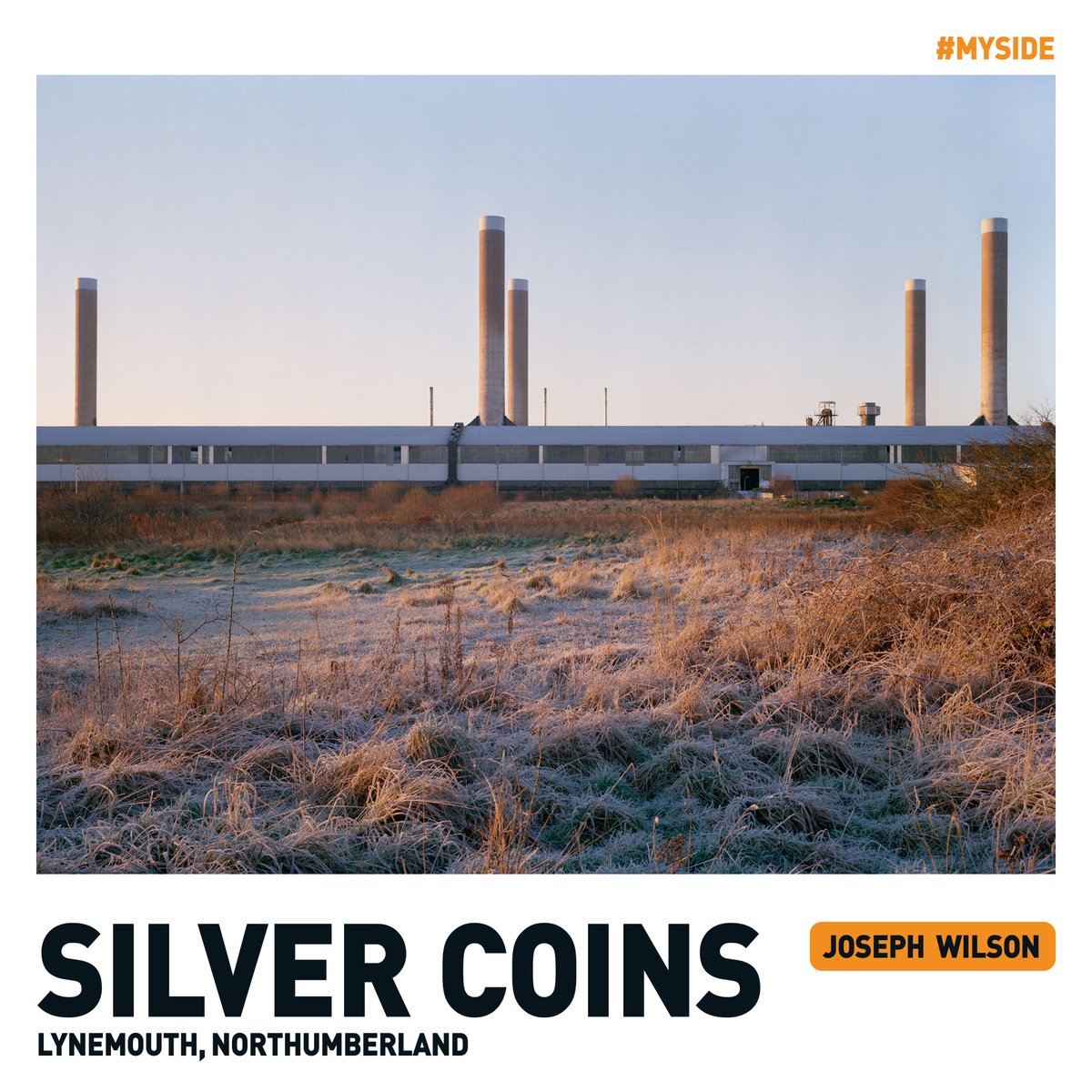 Side Gallery tweet media