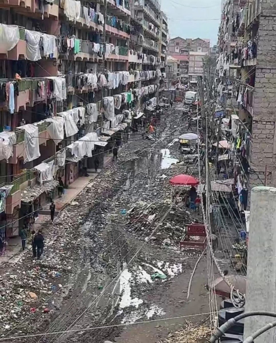 The Jackal… tweet media