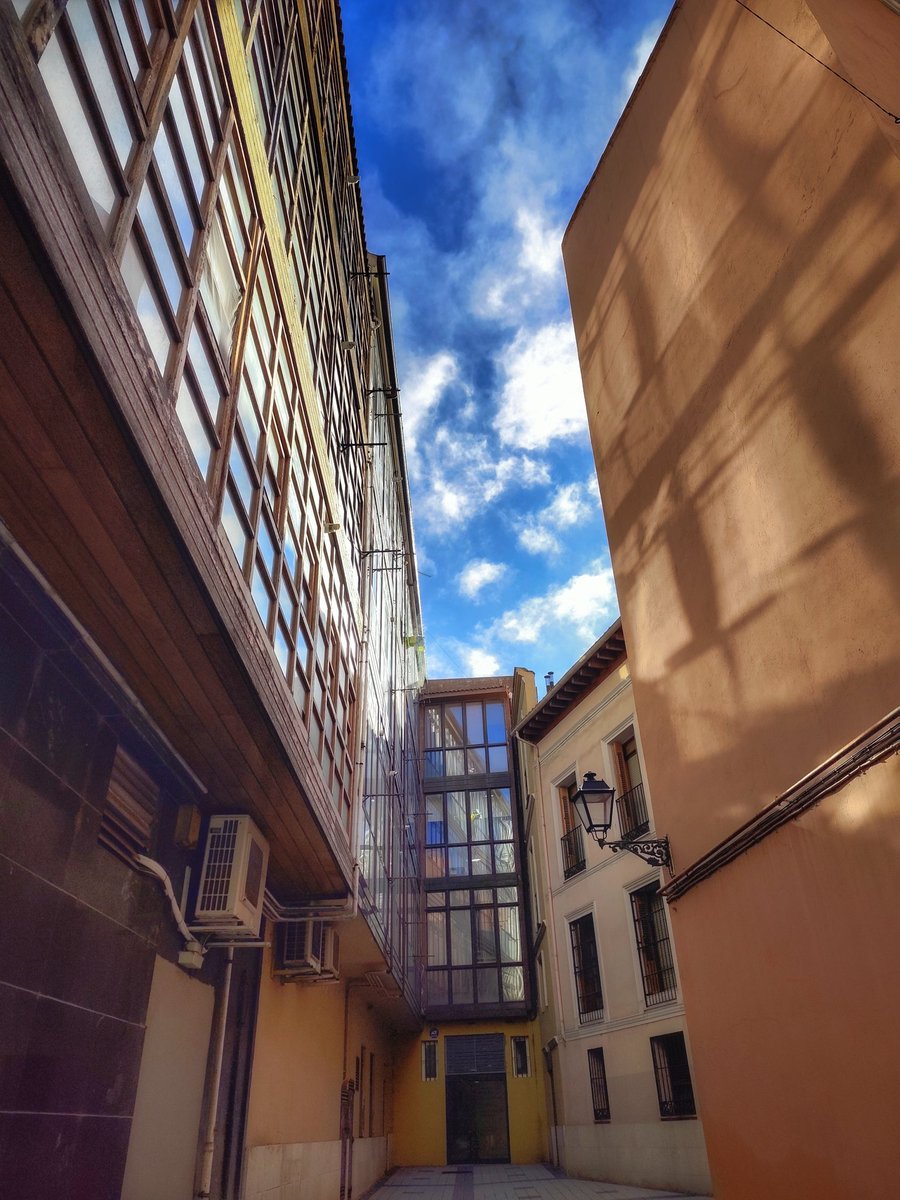 Un Muchachito de Valladolid (Miguel Bayón) tweet media