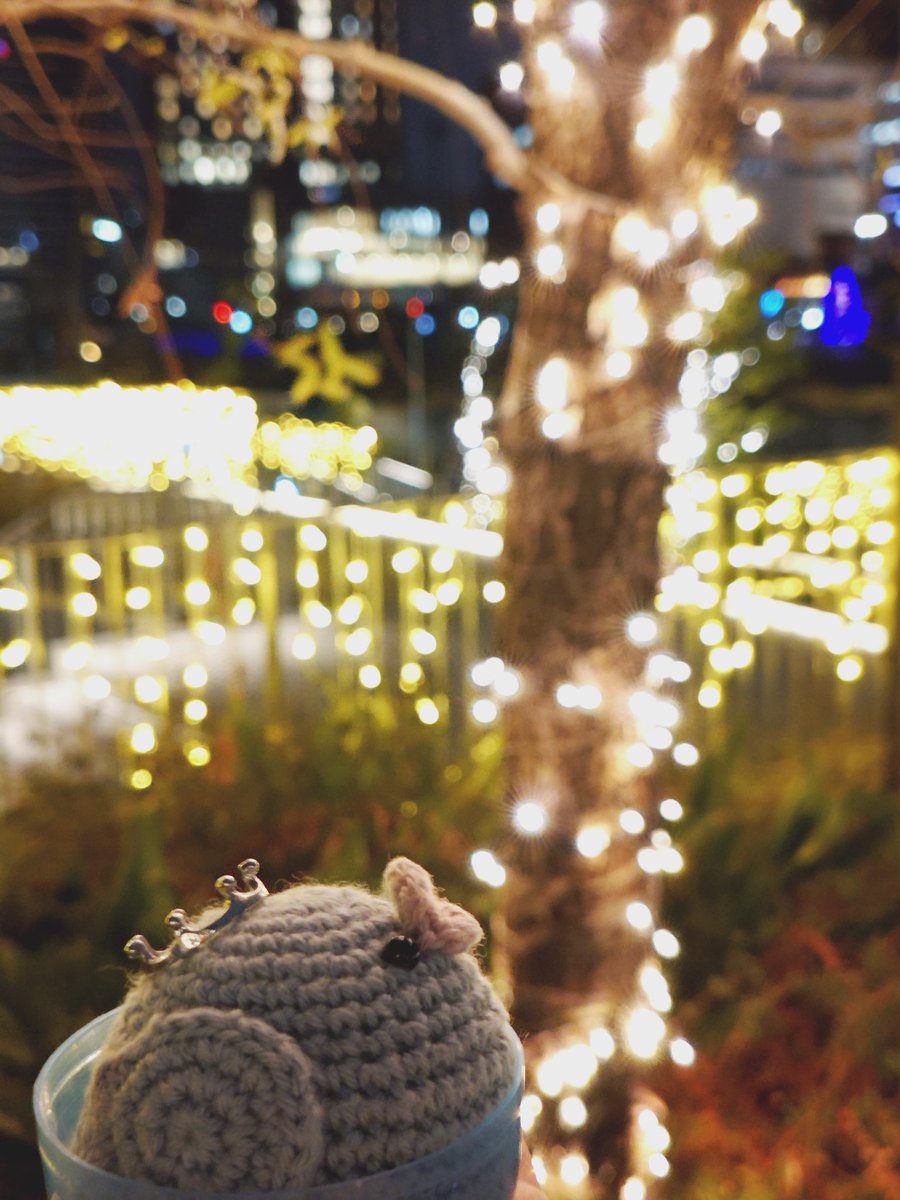 夜の大阪とおまんじゅうちゃん