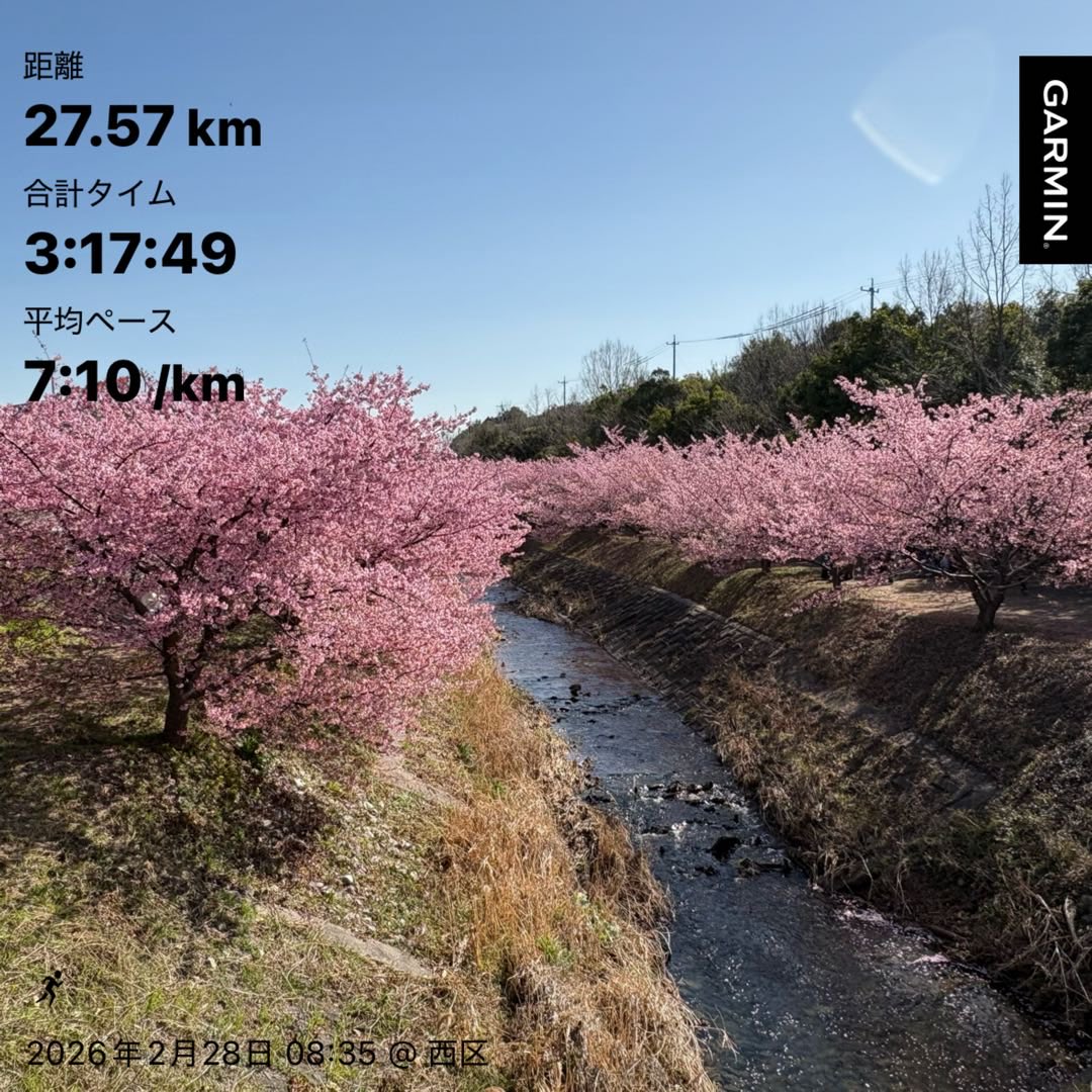 月下颯走 tweet media