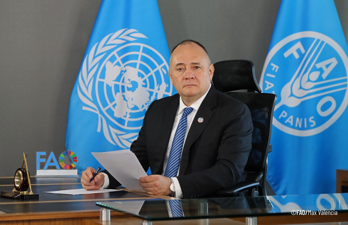 FAO Mesoamérica tweet media