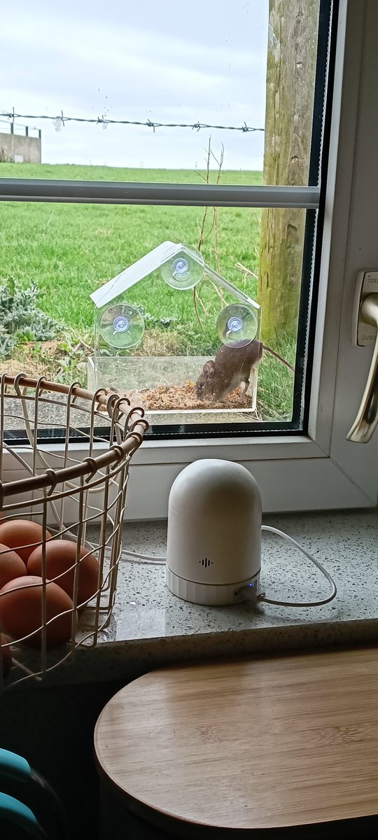 Andy Pullen tweet media