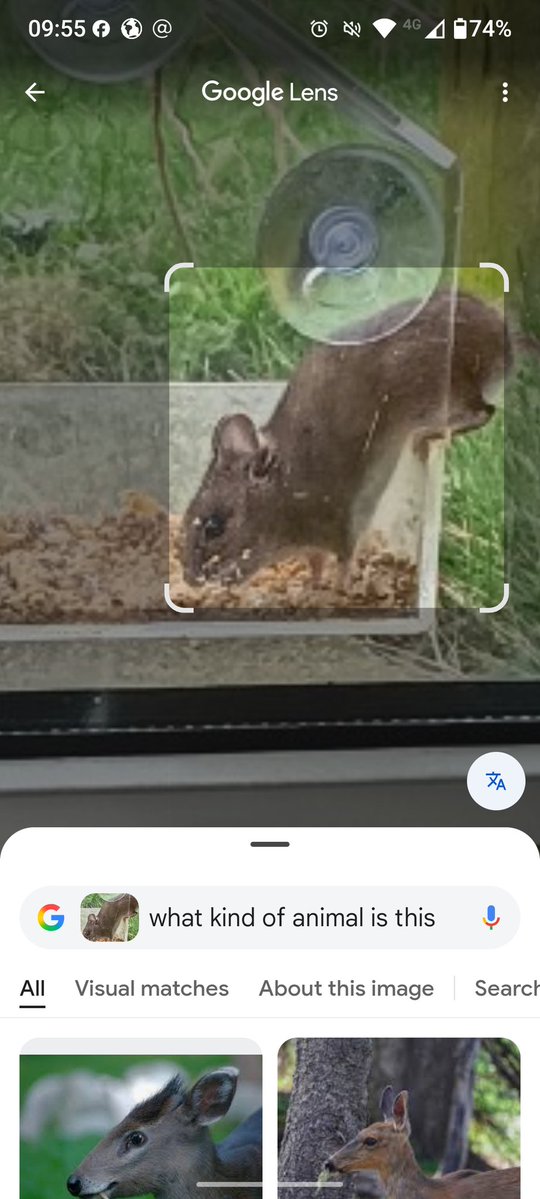 Andy Pullen tweet media