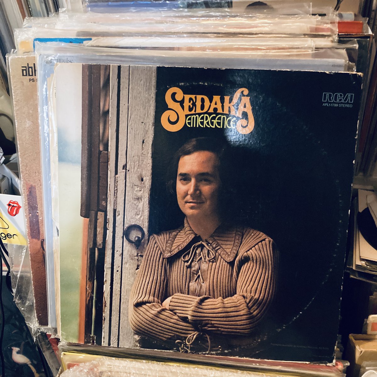 パライソレコード (@paraisorecords) / Posts / X