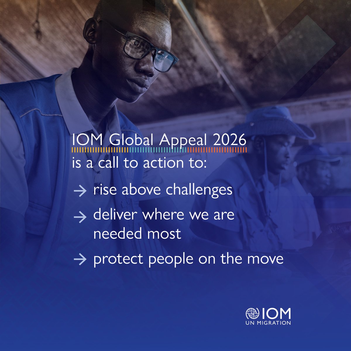 IOM - UN Migration 🇺🇳 tweet media