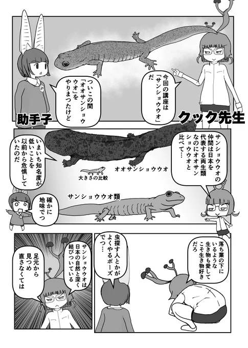 色々と誤解されてそうな動物を漫画で解説していくぞい。  第54回「サンショウウオ」1/2 #クック先生の動物講座 #漫画が読めるハッシュタグ #マンガが読めるハッシュタグ 