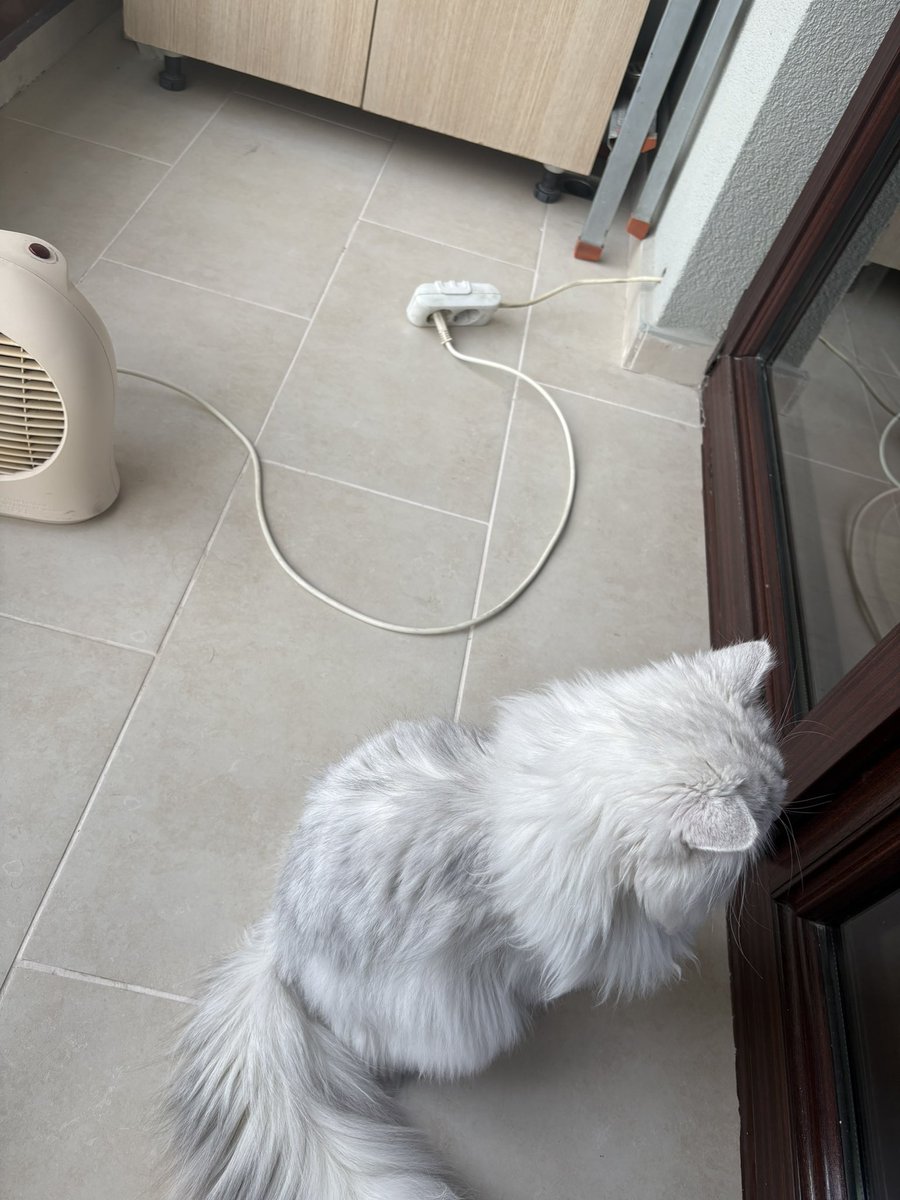 Oğlumla ev keyfi 🥰🥰🥰… birazdan birlikte temizlik yapıcaz, taranıp pufidik pufidik uyuycaz 🤗🤗