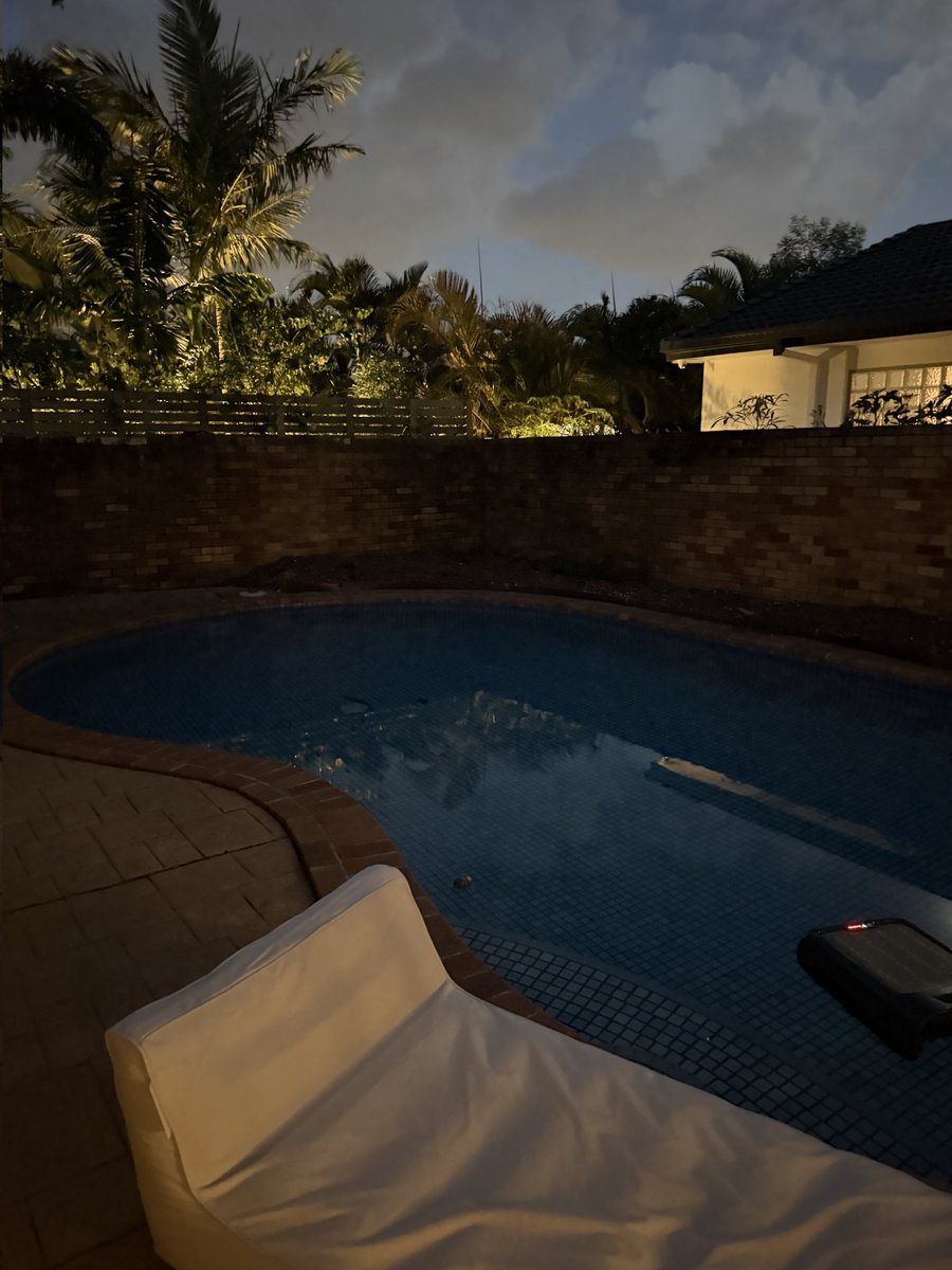 Daniel Scuteri tweet media