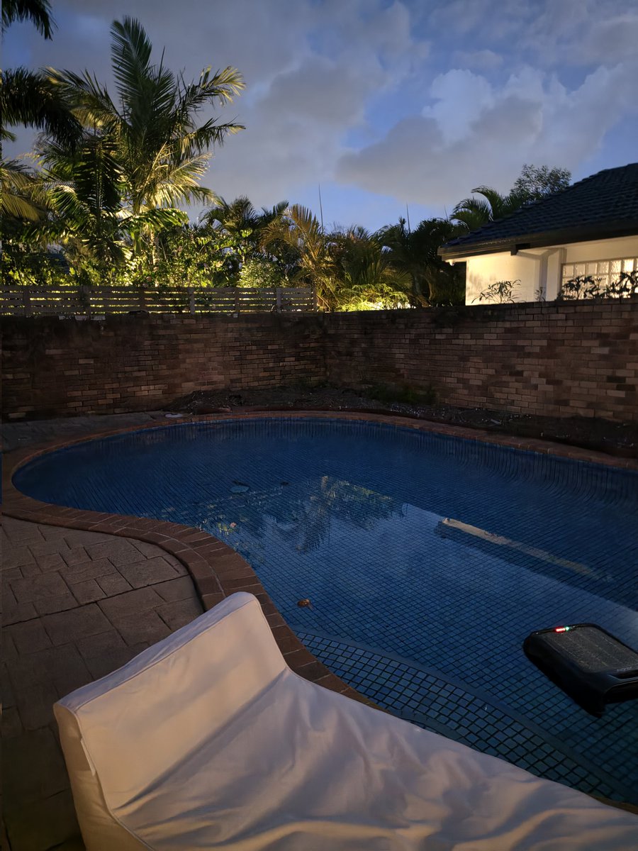 Daniel Scuteri tweet media