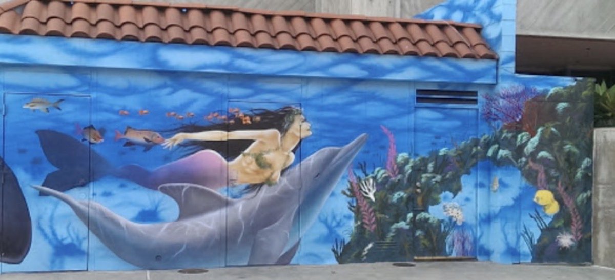 The Infamous Jat Shadow tweet media