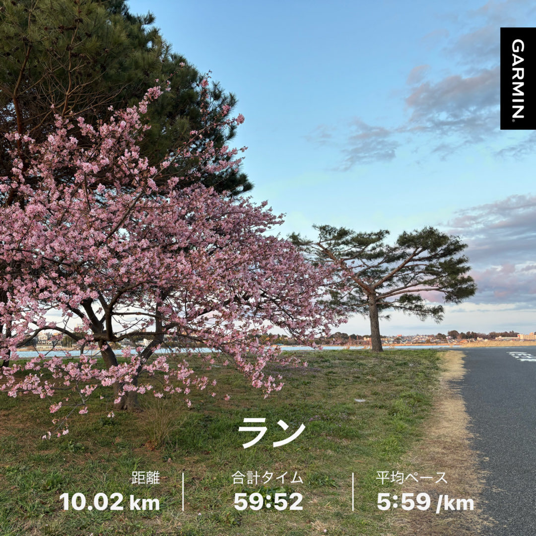 dogrun1971's tweet photo. 夕方ラン10k☀️
暖かく河津桜が満開でした😊
2月走行距離なんとか50kクリア🙌 https://t.co/JLAWMbXTrX