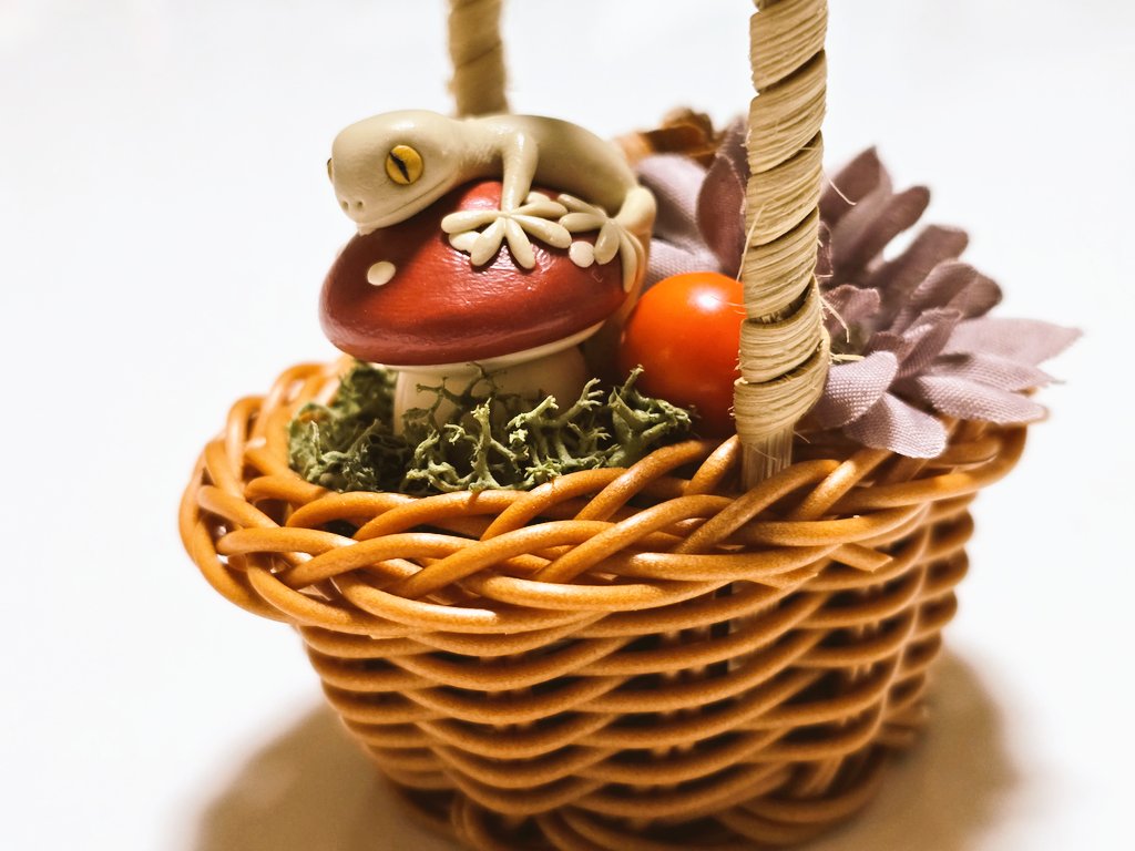 まれいのねんど@2.21 2.22レプタイルズフィーバー tweet media