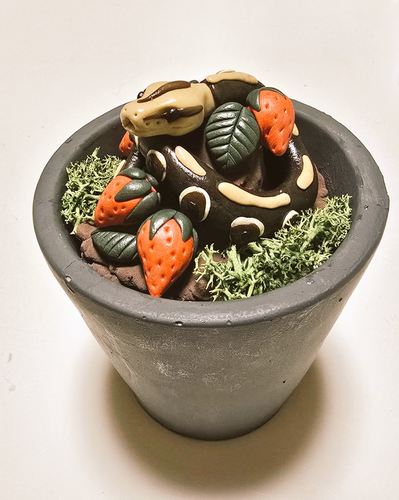 まれいのねんど@2.21 2.22レプタイルズフィーバー tweet media