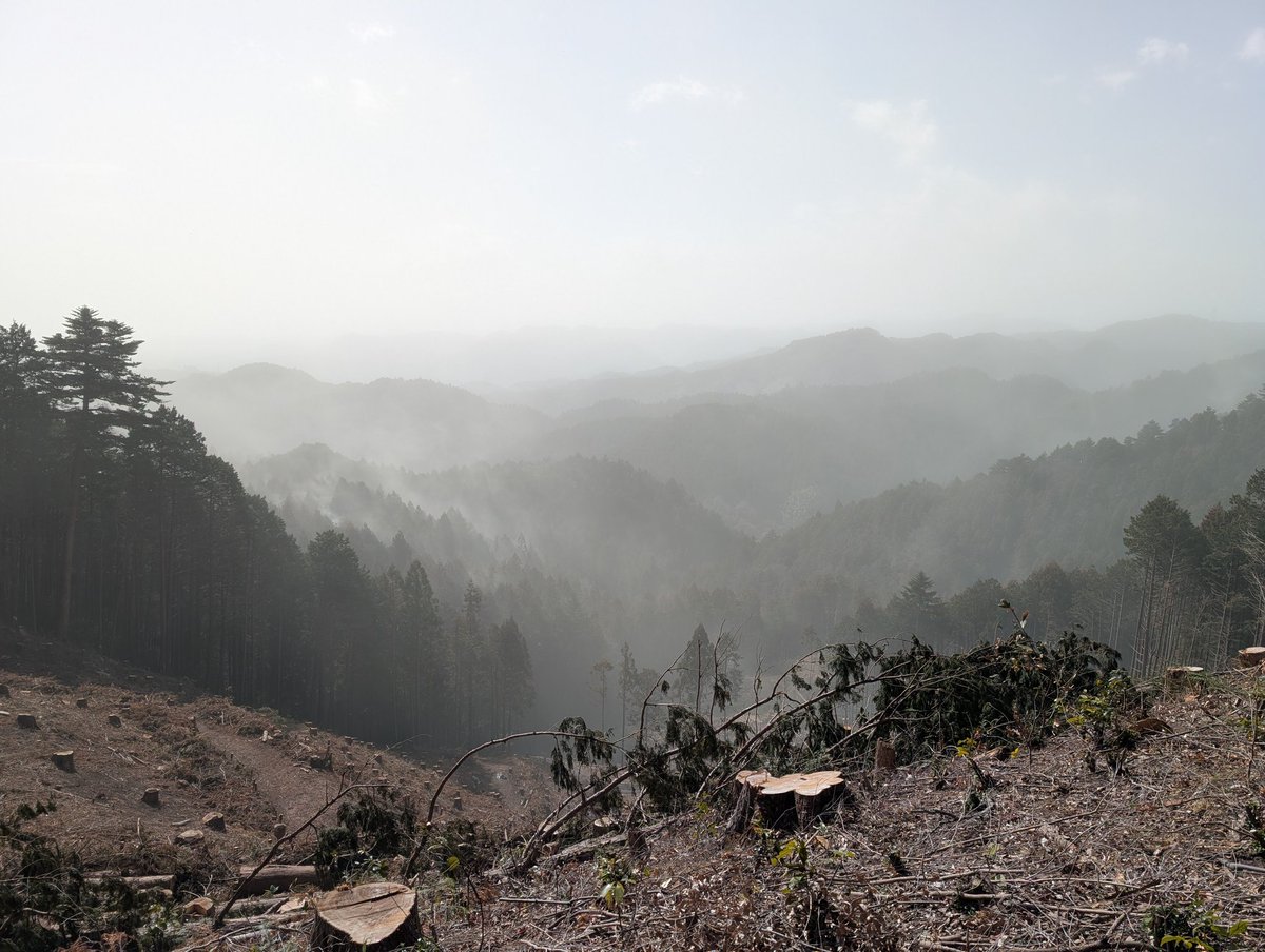 まっこる@hrakロス tweet media