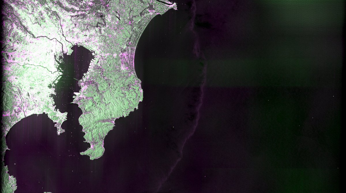 NISAR の東京湾のデータきた！
日本というか世界提供開始してる
search.asf.alaska.edu/#/?polygon=POL…