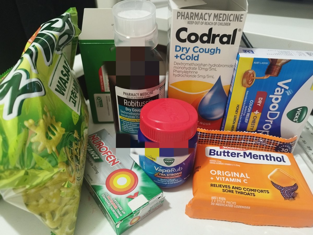 Nomi Purin 🦴🩷 Dragon Pup Vtuber tweet media