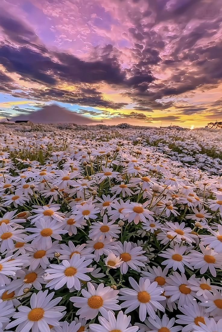 Aesthetics tweet media