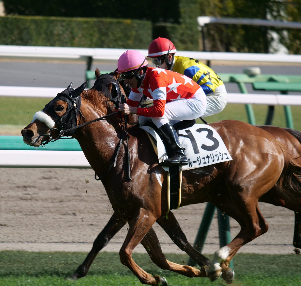 中山競馬8R 1勝クラス ルージュナリッシュ＆横山典弘 明日で調教師