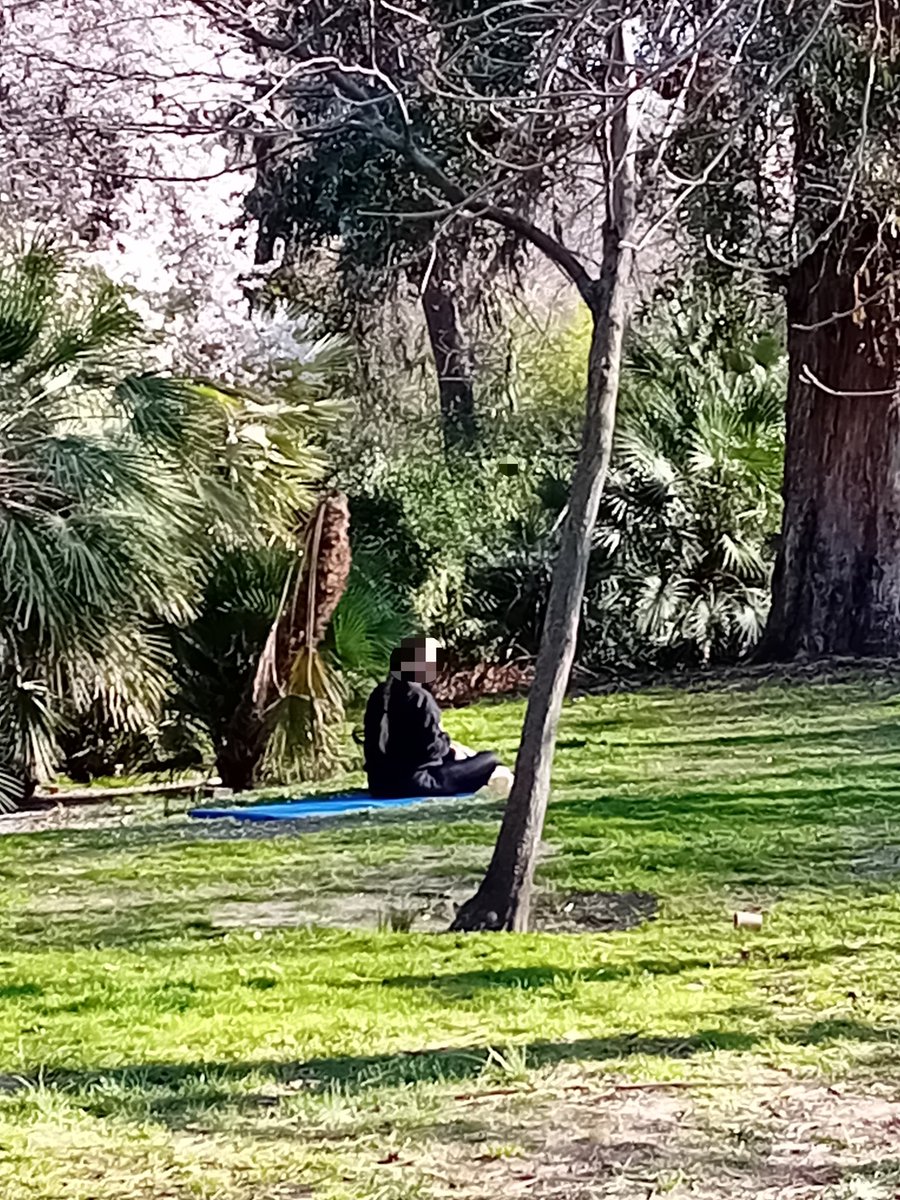 DanielSenda's tweet photo. Mucha yoga pero poco respeto por la flora y fauna. Si invades las zonas verdes colmatas el suelo perjudicando a las plantas, arbustos y árboles, e impides que la fauna pueda alimentarse en el suelo o incluso afectas al comportamiento de las aves al no poder realizar su cortejo https://t.co/CM9RkfYuPo