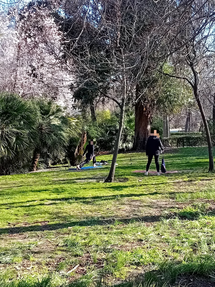 DanielSenda's tweet photo. Mucha yoga pero poco respeto por la flora y fauna. Si invades las zonas verdes colmatas el suelo perjudicando a las plantas, arbustos y árboles, e impides que la fauna pueda alimentarse en el suelo o incluso afectas al comportamiento de las aves al no poder realizar su cortejo https://t.co/CM9RkfYuPo