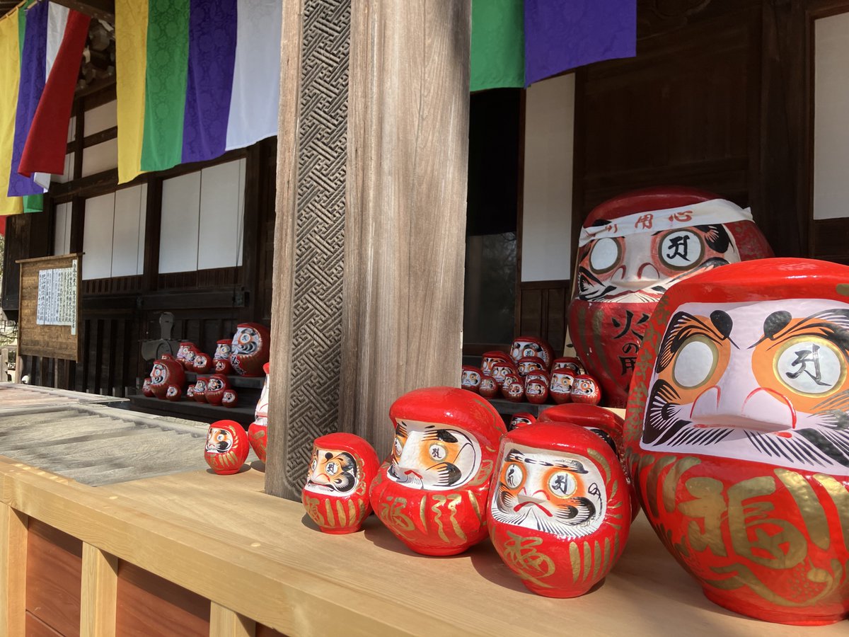 いつも1月にしか深大寺行かないからこんなにダルマを置いてる姿は