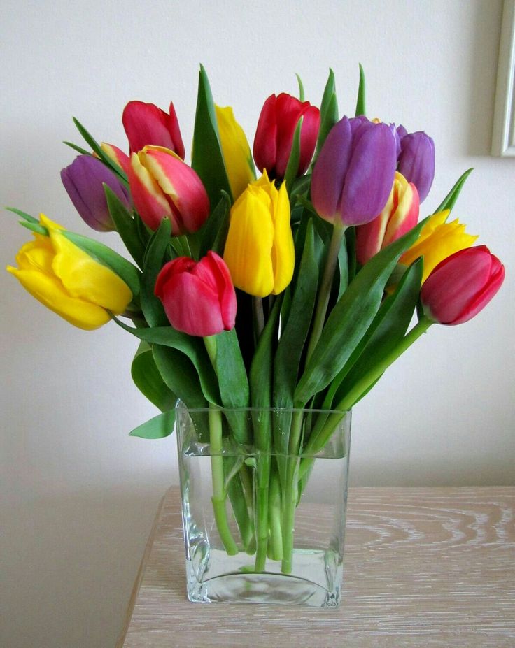 Paysages_lands tweet picture