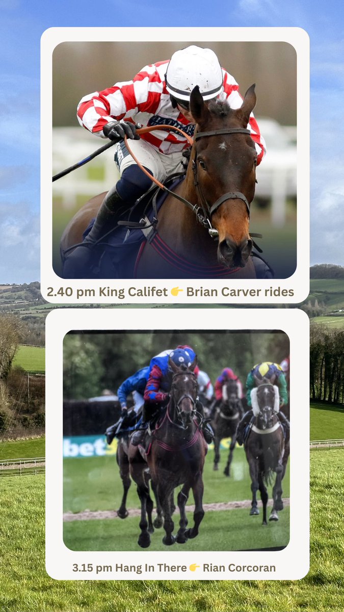 Emma Lavelle tweet media