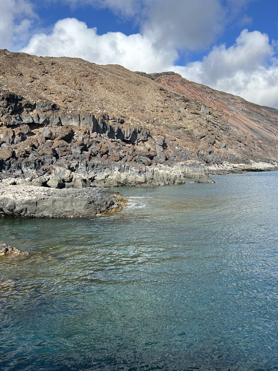 Daniel Hernandez tweet media