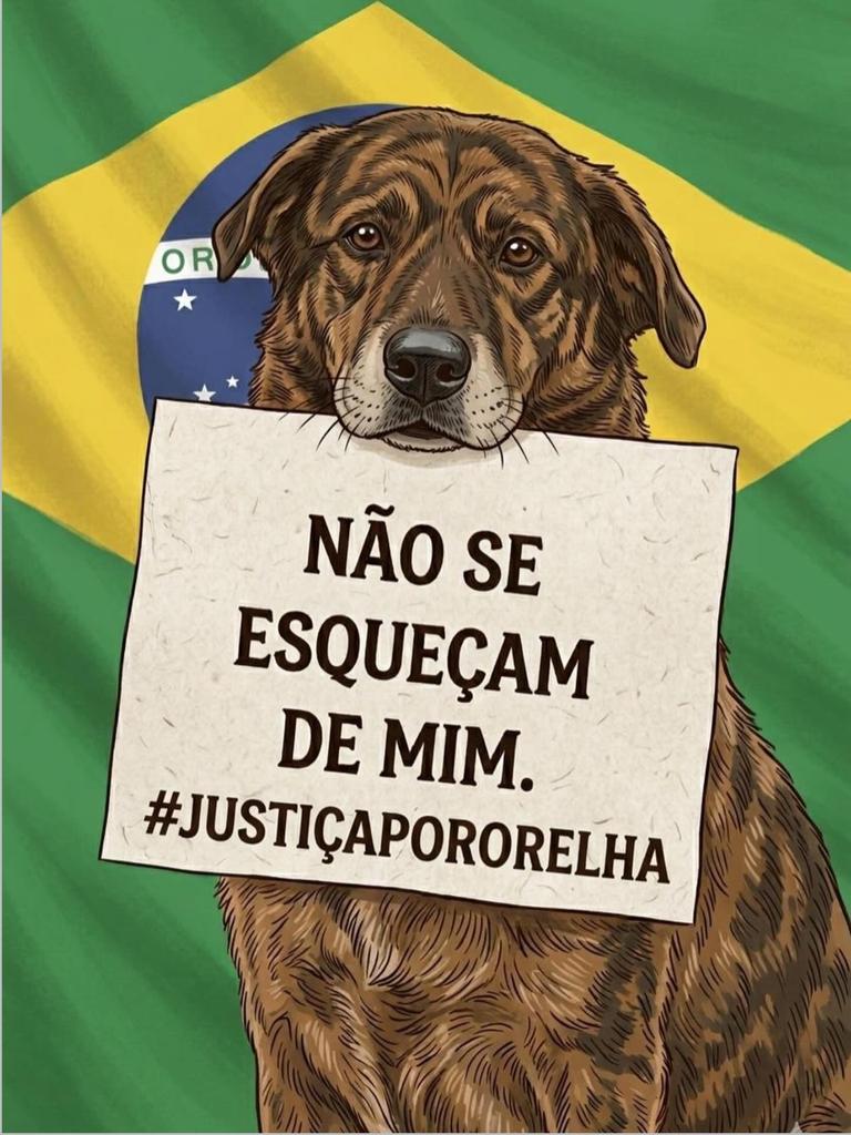 50 dias sem justiça