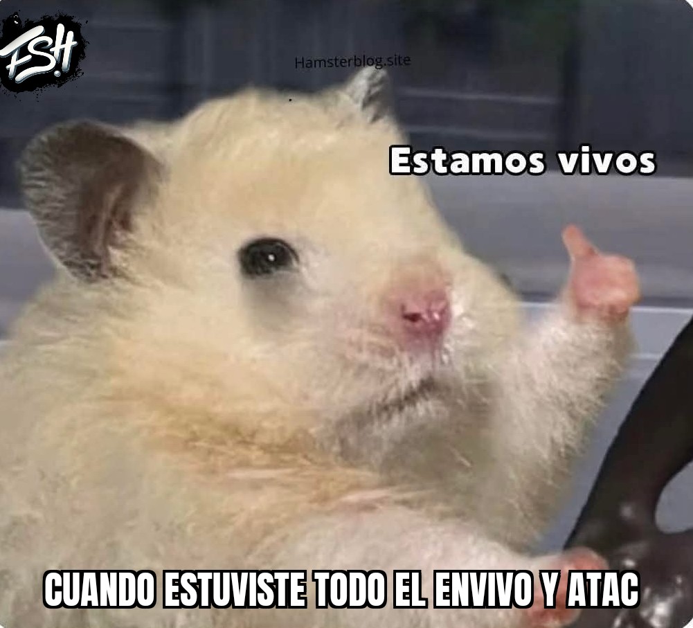 DesintegradosEnCaso tweet media