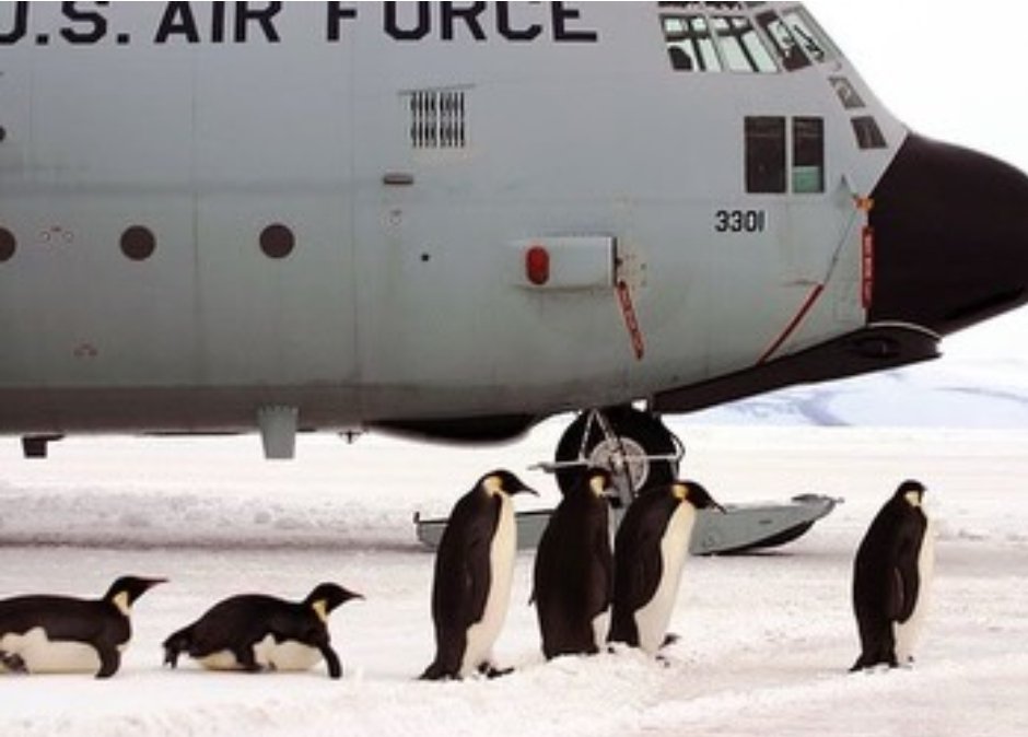 RAF_Luton tweet media