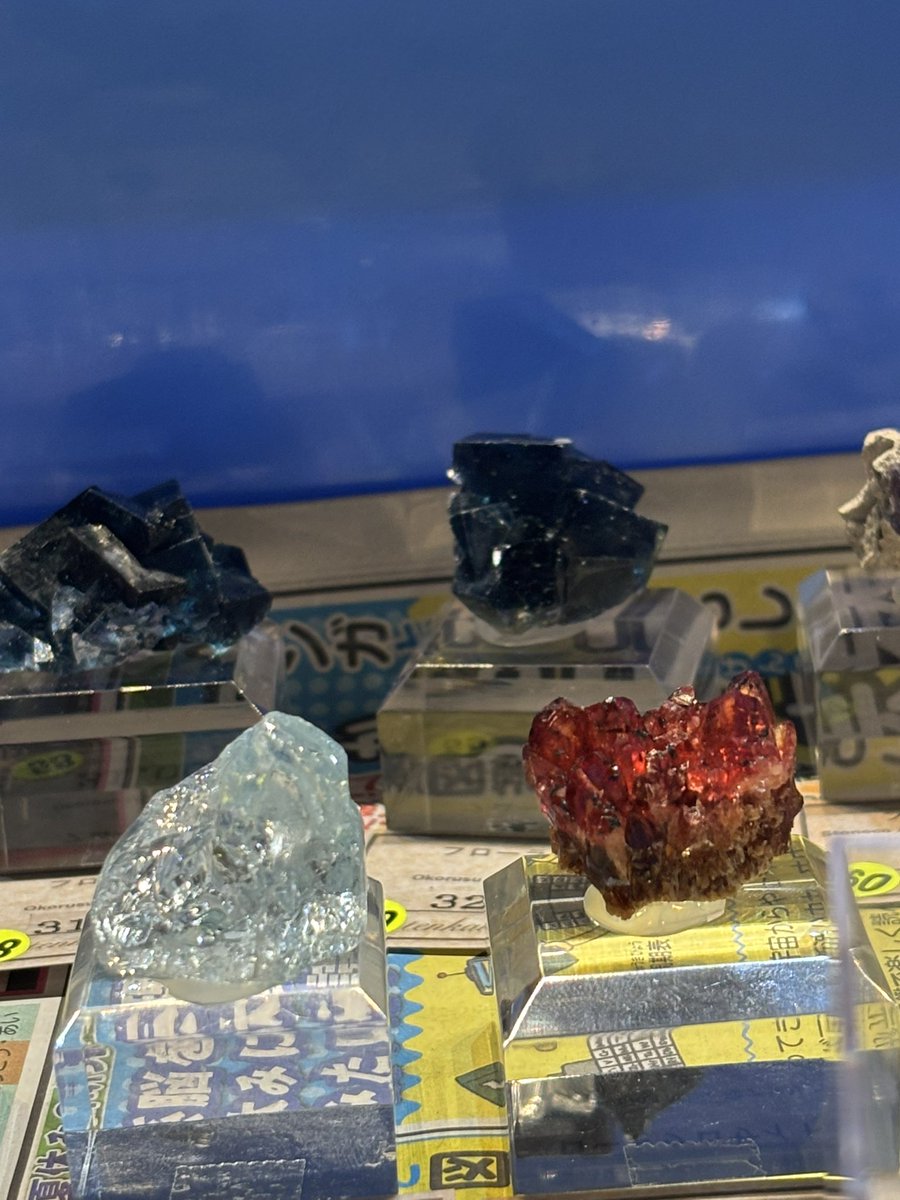 tenkawacrystal☆ tweet media