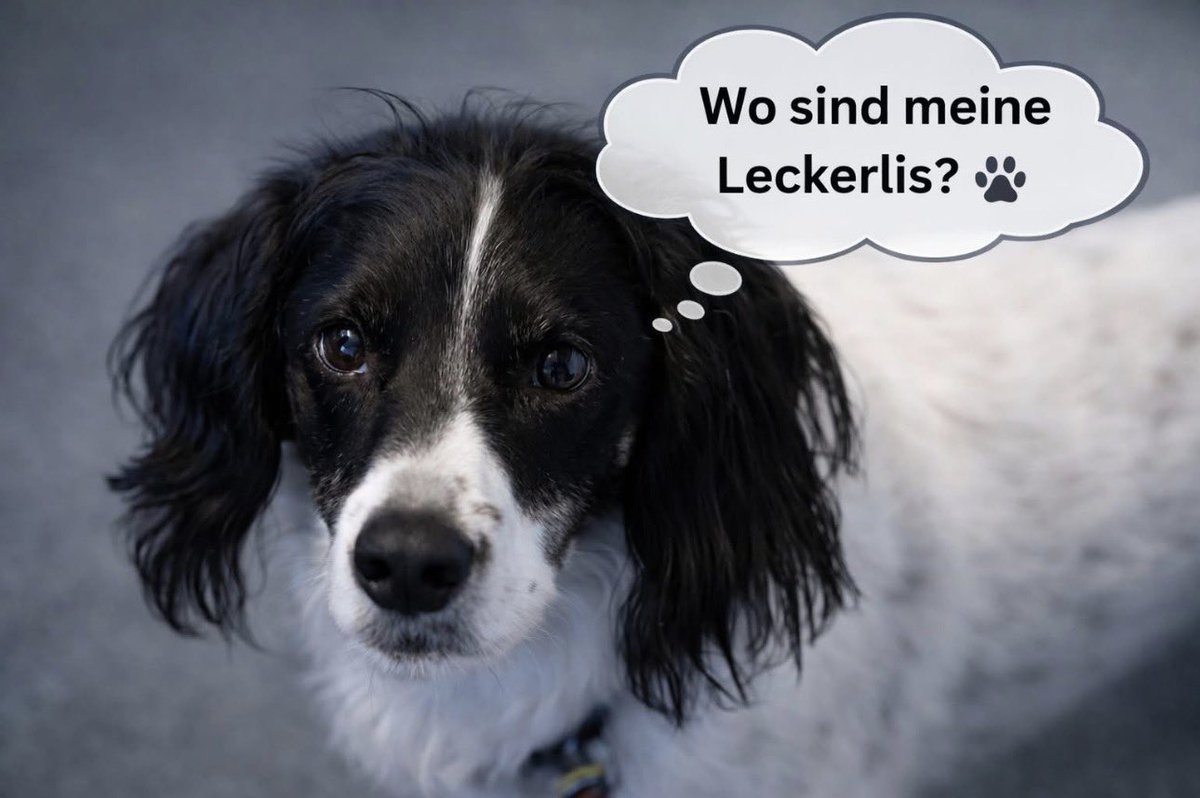 „Na… wer kennt diesen Blick? 😄🐾“