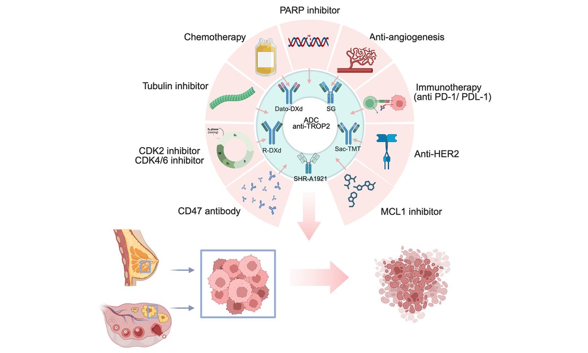 Cancer Drug Resistance tweet media