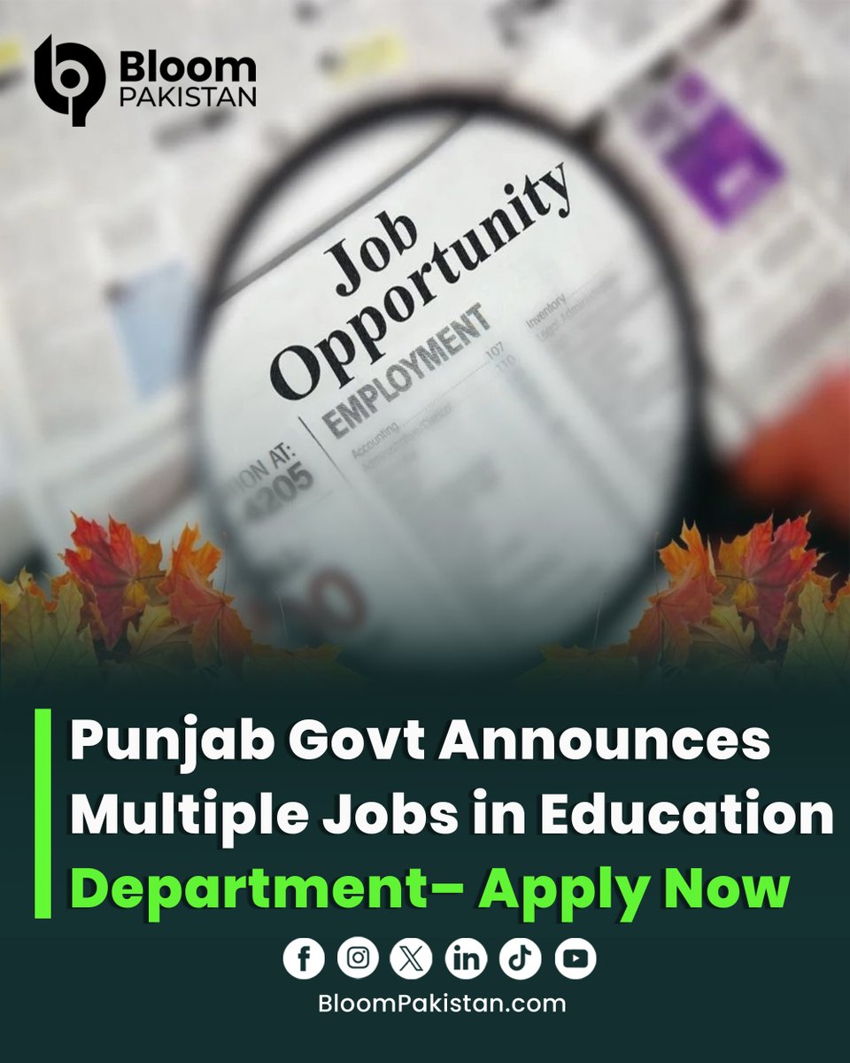 bloom_pakistan's tweet photo. Punjab govt opens multiple vacancies under RRR STEM Secondary Education Project via PMIU-PESRP with ADB support.

Read More: https://t.co/EU0sMa0QFG

#PunjabJobs #STEMProject #PMIU #ADB #EducationSector https://t.co/5oknGO9LjY