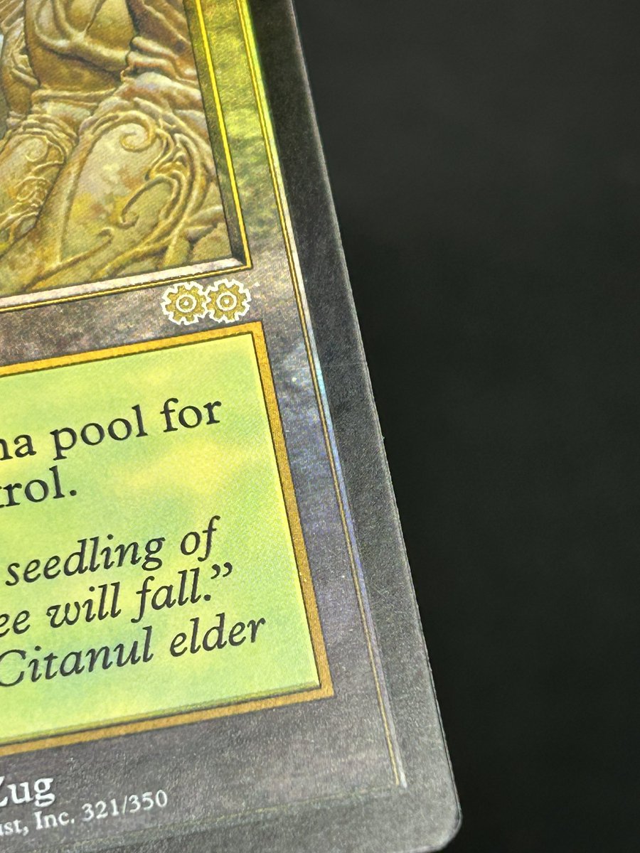 東京MTG - TokyoMTG.com tweet media