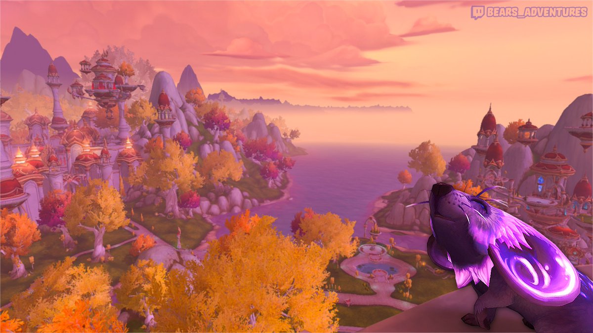 Bears Adventures tweet media