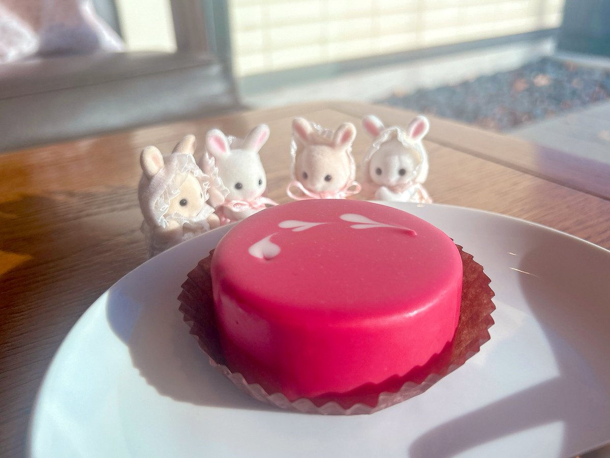 あぴもに🍒シルバニア tweet media