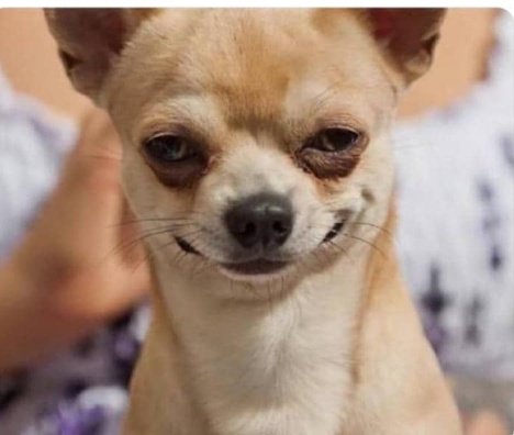 POV: when my gf tells me she had a dream that I cheated on her so I went ahead and cheat because I want her dream to come true