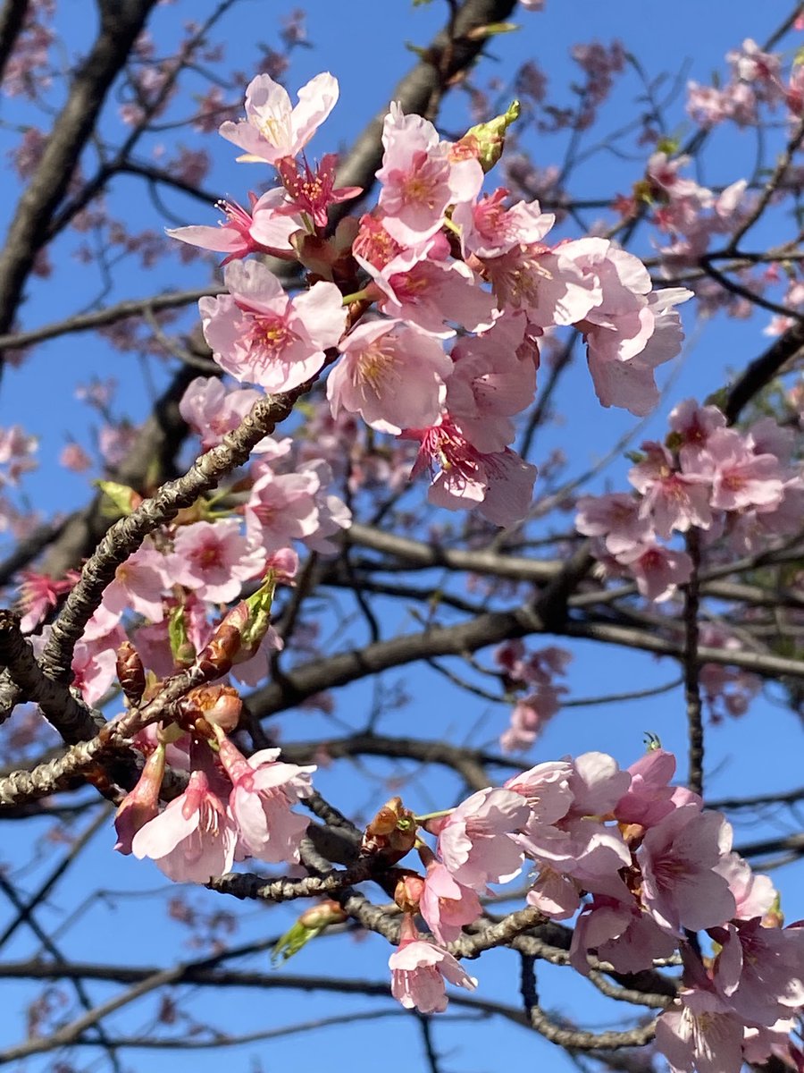 自然の豊かな場所へ向かいました。ときどきでも良い。