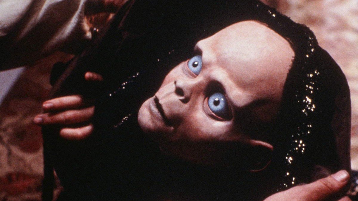 Daniel Hood tweet media