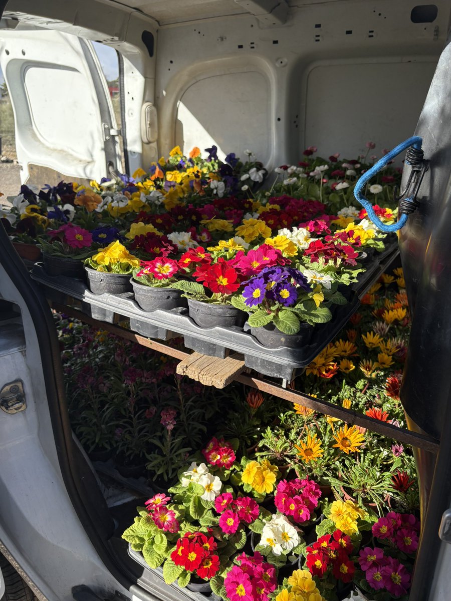 VBoecillo's tweet photo. Producción - Pedidos de invierno y primavera.
#ViverosBoecillo
#ViverosRabadanYCalleja 
#PrispalGarden 
#AhoraFloresYPlantas https://t.co/Pu5z1UT3AA